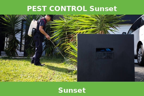 PEST CONTROL Sunset